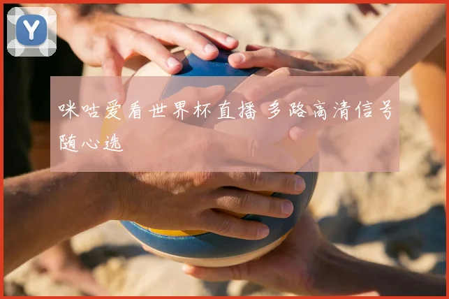 咪咕爱看世界杯直播 多路高清信号随心选