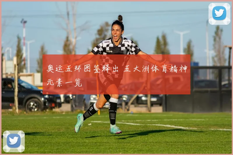 奥运五环图鉴释出 五大洲体育精神元素一览